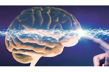 Alzheimer Ne İyi Gelir?