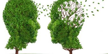 Alzheimer Hastalığına İyi Gelen Bitkiler